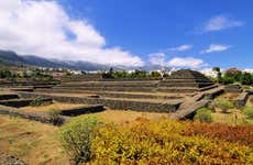 Excursión a Candelaria y las pirámides de Güimar