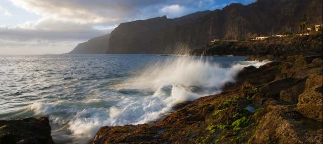 Excursion à Los Gigantes, Icod, Puerto de la Cruz et Candelaria