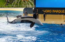 Loro Parque Day Trip