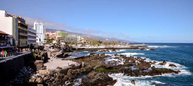 Excursion libre à Puerto de la Cruz