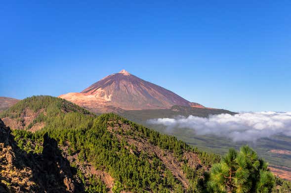 Escursione al Parco del Teide e Puerto de la Cruz