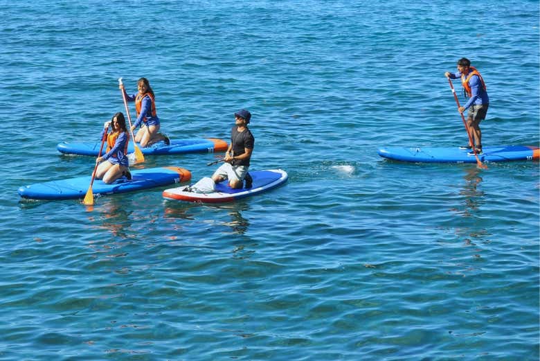 Learn how to paddle board