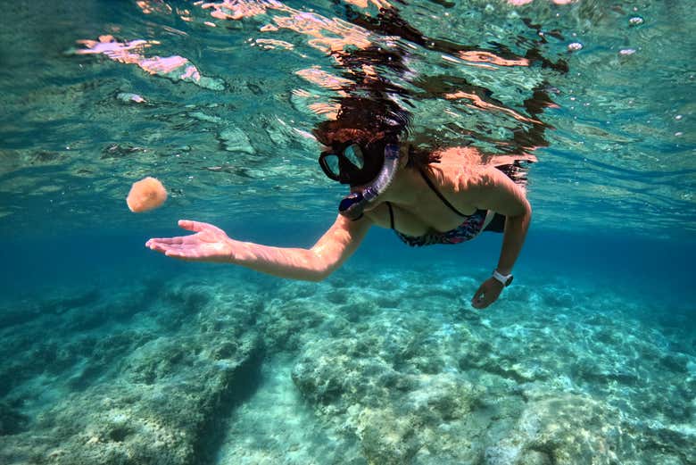 Também faremos snorkel