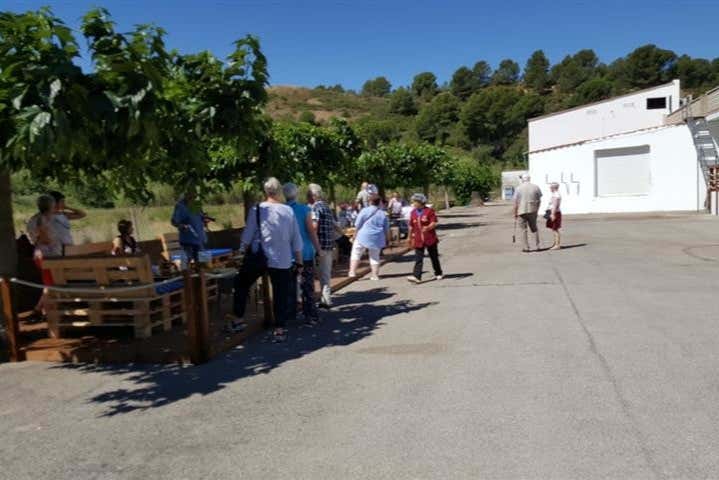 Degustación en la terraza al aire libre