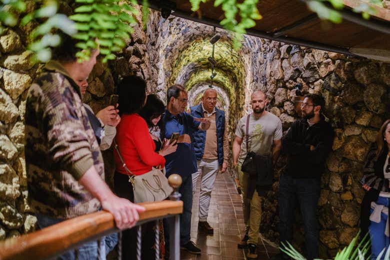 Realizando la visita guiada por las Bodegas Viñátigo
