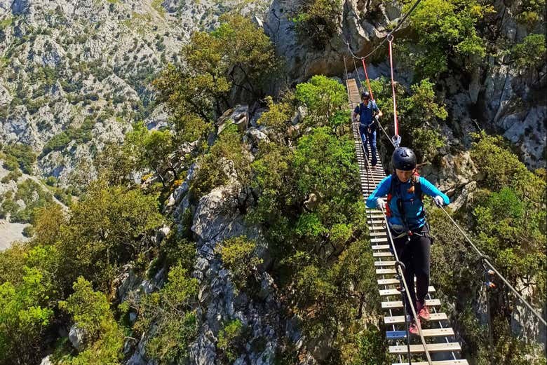 Traversez la passerelle en bois