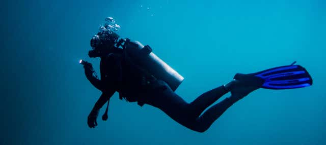 Baptême de plongée sous-marine à La Lajita