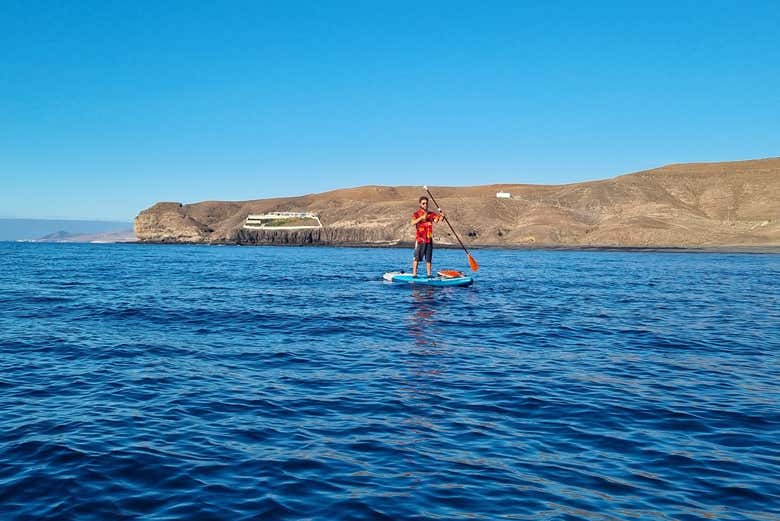 Learn how to keep your balance on a paddle board