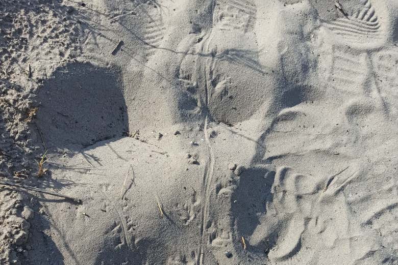 Pegadas em uma das praias de areia de San Pedro