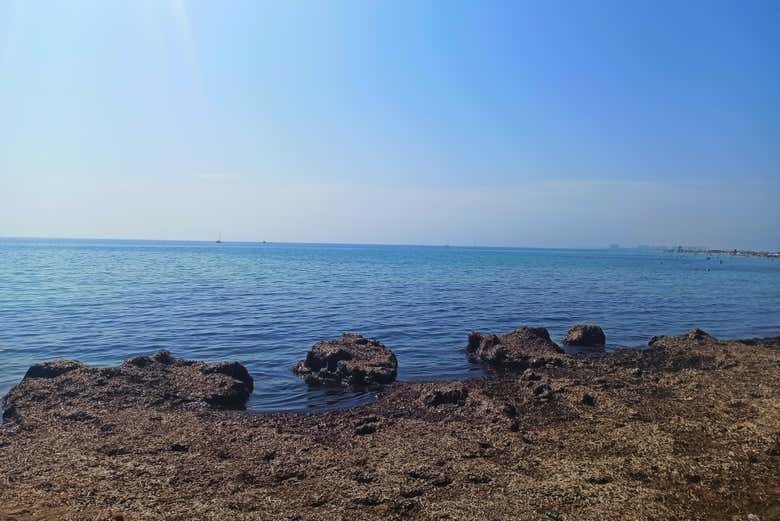 Contemplando o Mar Menor