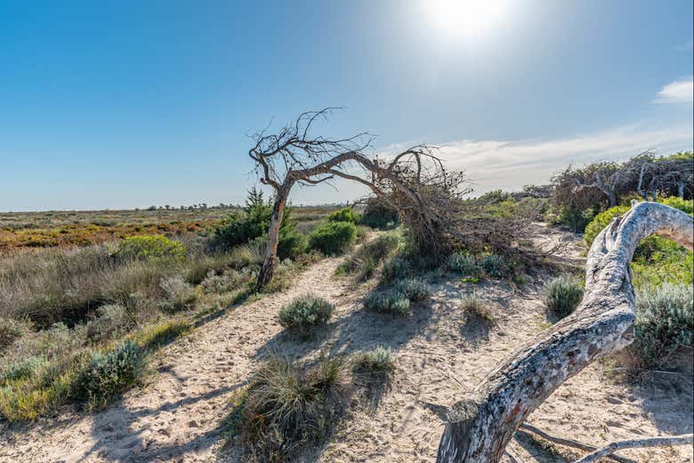 Parque Regional das Salinas y Arenales de San Pedro