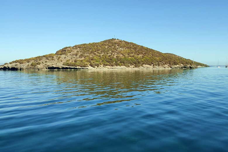 Isla Perdiguera