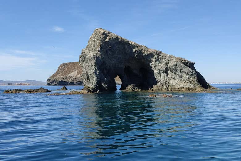 Farallón e isla Grosa, en Murcia