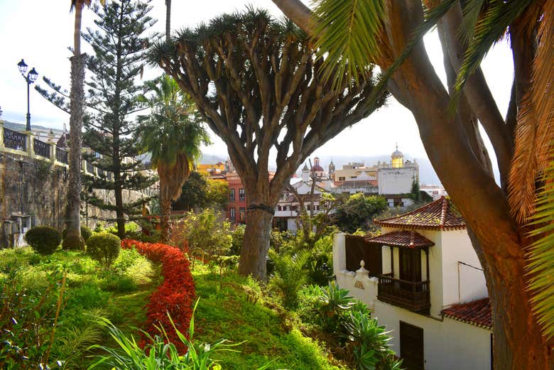 Aproveitando o free tour pelos mistérios e lendas de La Orotava