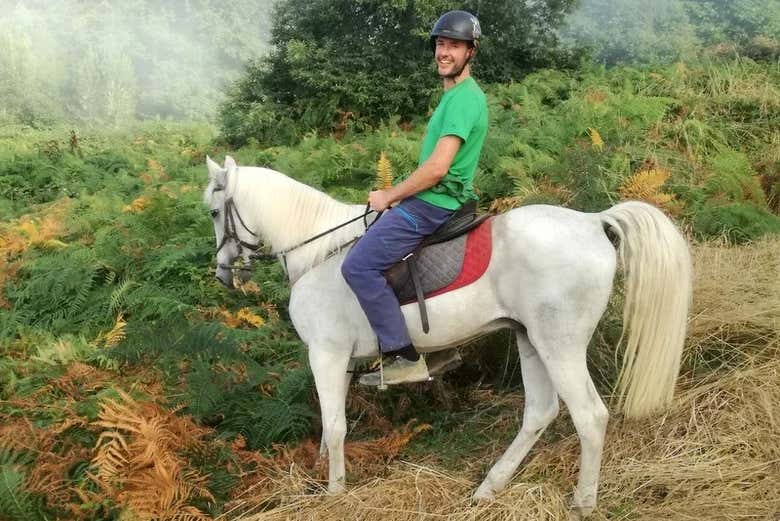 Ruta a caballo desde el Puerto de la Cruz