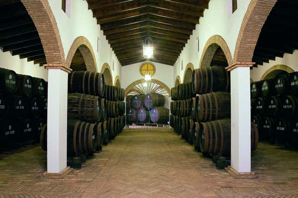 Bodegas Luis Felipe Tour