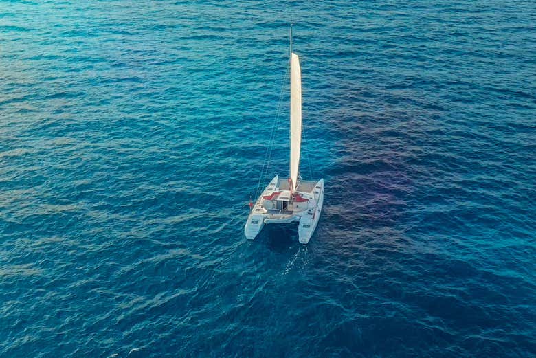 Il catamarano dall'alto