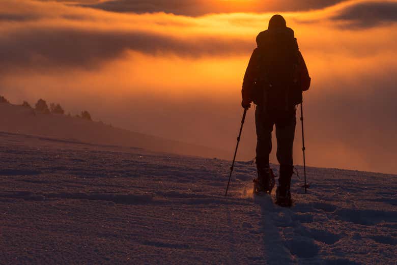 Walking through the snow
