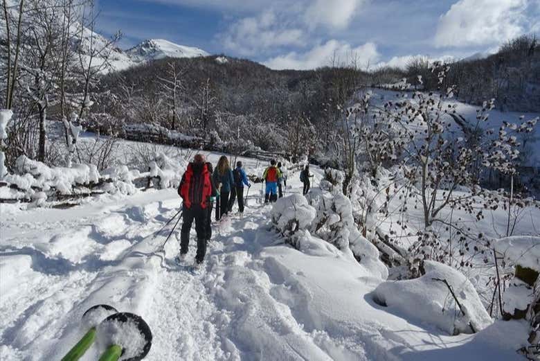 Balade en raquettes à neige