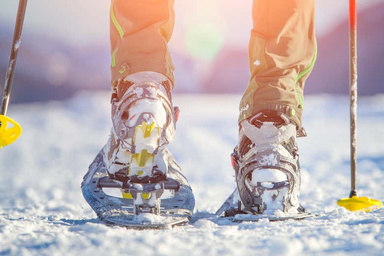 Snowshoes