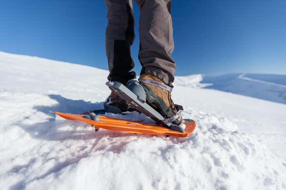 Raquetas De Nieve En Asturias - Actividadex