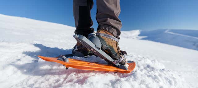 Torres Peak Snowshoe Hike