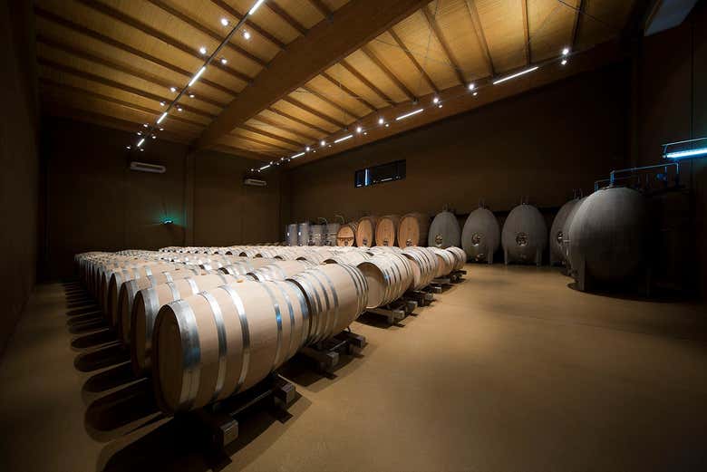 Découvrez la bodega