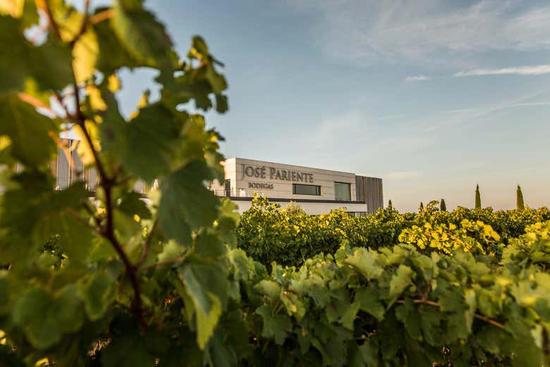 Cantine José Pariente