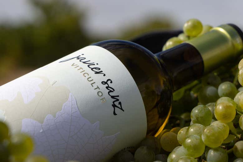 Garrafa de vinho da vinícola Javier Sanz
