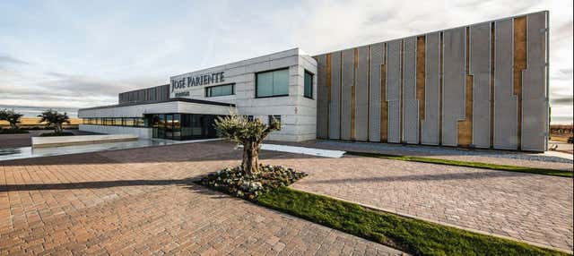 Visita a las bodegas José Pariente