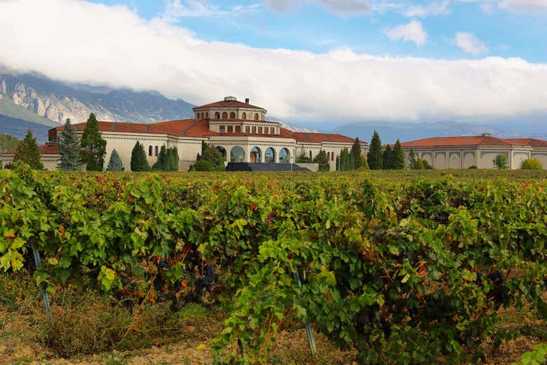Bodegas Campillo