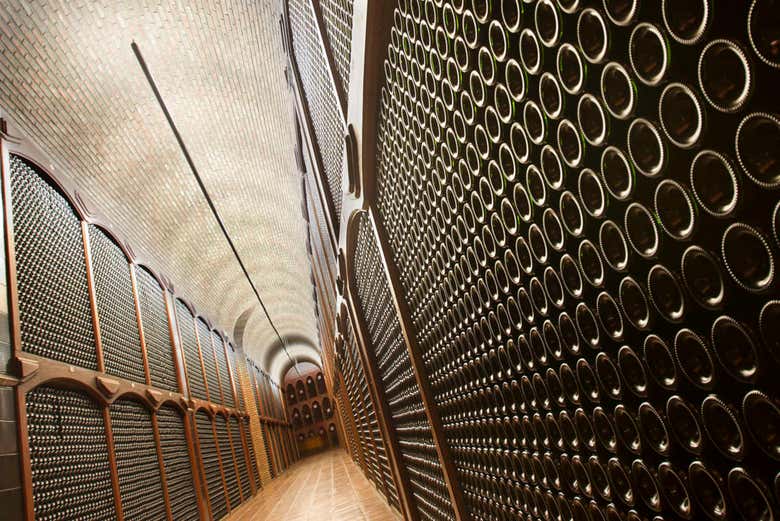 Botellero de las bodegas Campillo