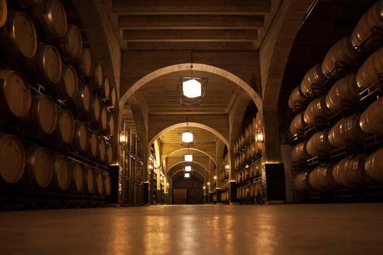 Sala delle botti nella cantina