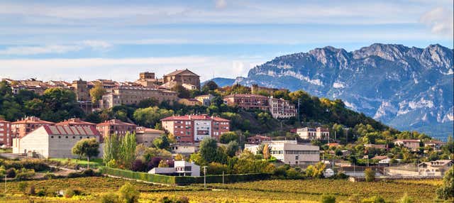 Tour por Laguardia + Visita a una bodega con cata