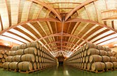 Visita guiada às adegas Campillo