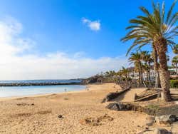 Coastline of Flamingo Beach