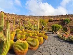 Entrance of the Cactus Garden