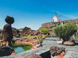 Inside the Cactus Garden