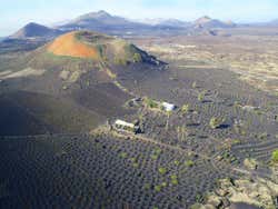Bird's eye view of La Geria