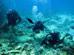 Scuba diving at Blanca Beach