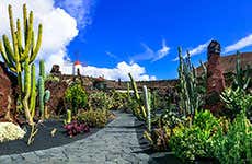 Jardín de Cactus