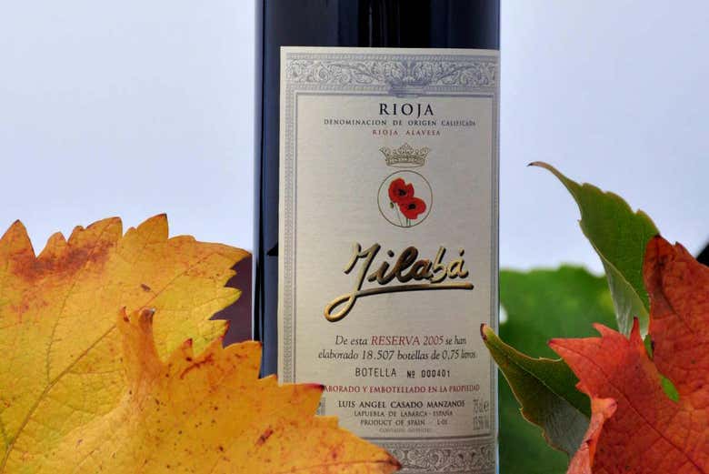 Vino Jilabá tra le foglie di vite rosse, gialle e verdi