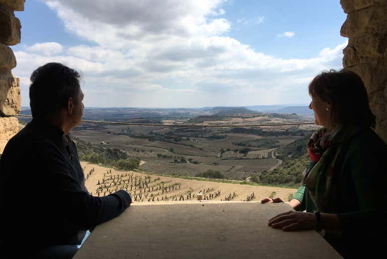 Cave à vin à Lapuebla de Labarca