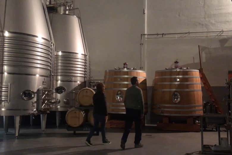 Visitez l'intérieur de la cave à vin
