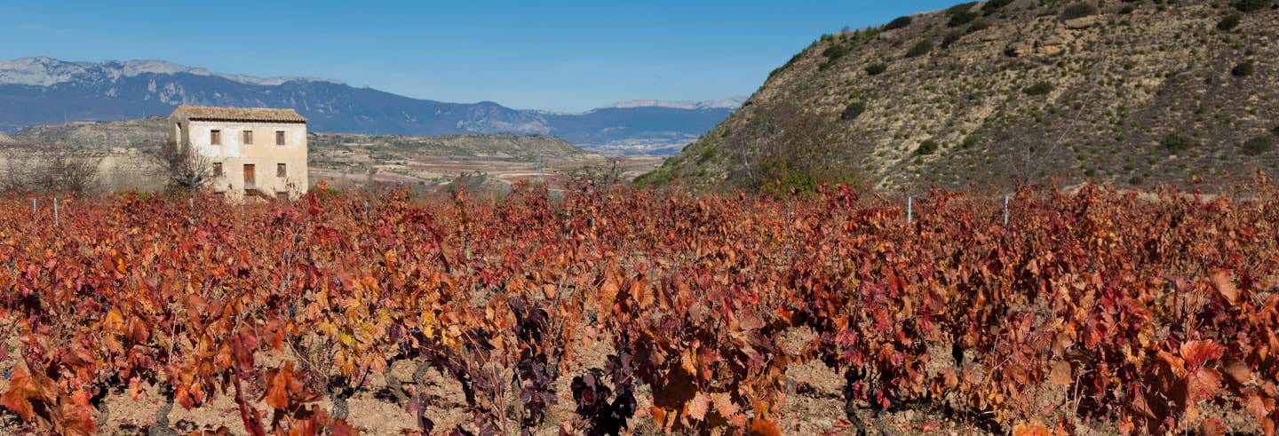 Lapuebla de Labarca