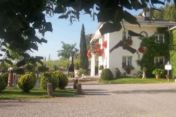 Visita della cantina Jilabá con degustazione di vino