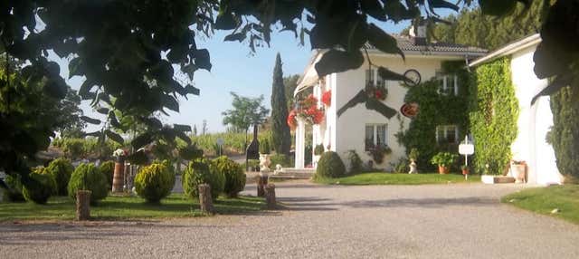 Visita a la bodega Jilabá con degustación de vino