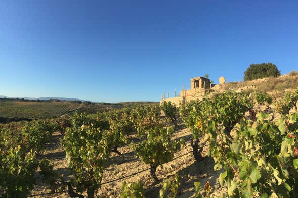 Visite des caves à vin Loli Casado