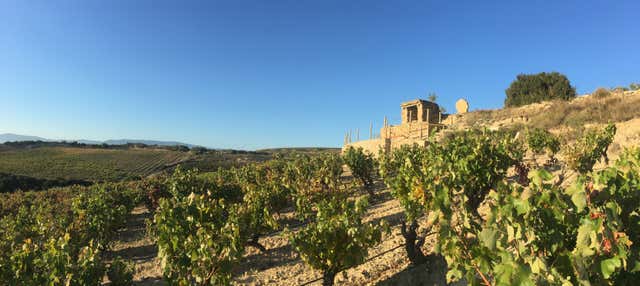 Visita a las bodegas Loli Casado