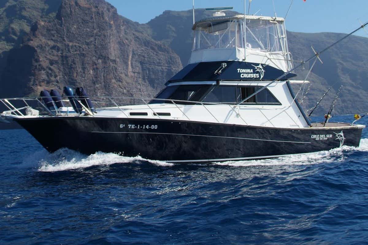 Aluguel de barco com capitão em Las Galletas